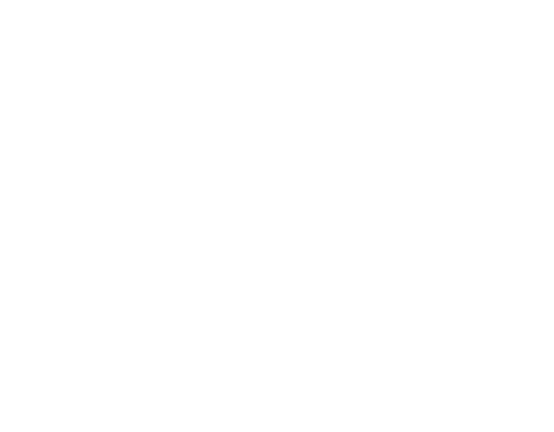 netzWERKK
